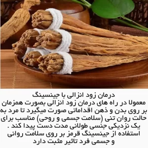 جنسینگ زود انزالی
